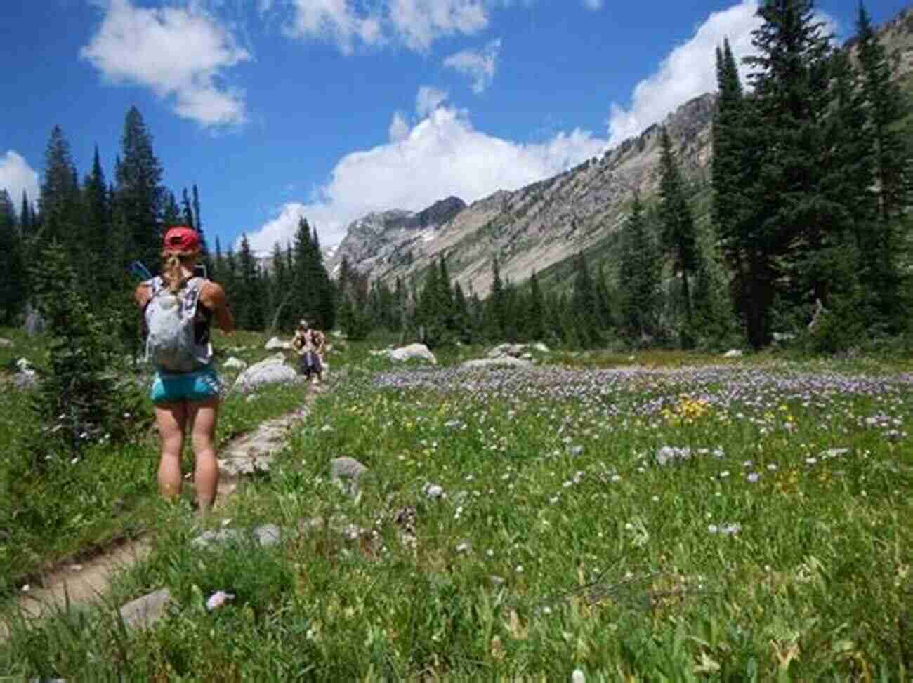 Emily Taking A Photo Of A Scenic Landscape Life Love And The Pursuit Of Hotties (Emily 5)