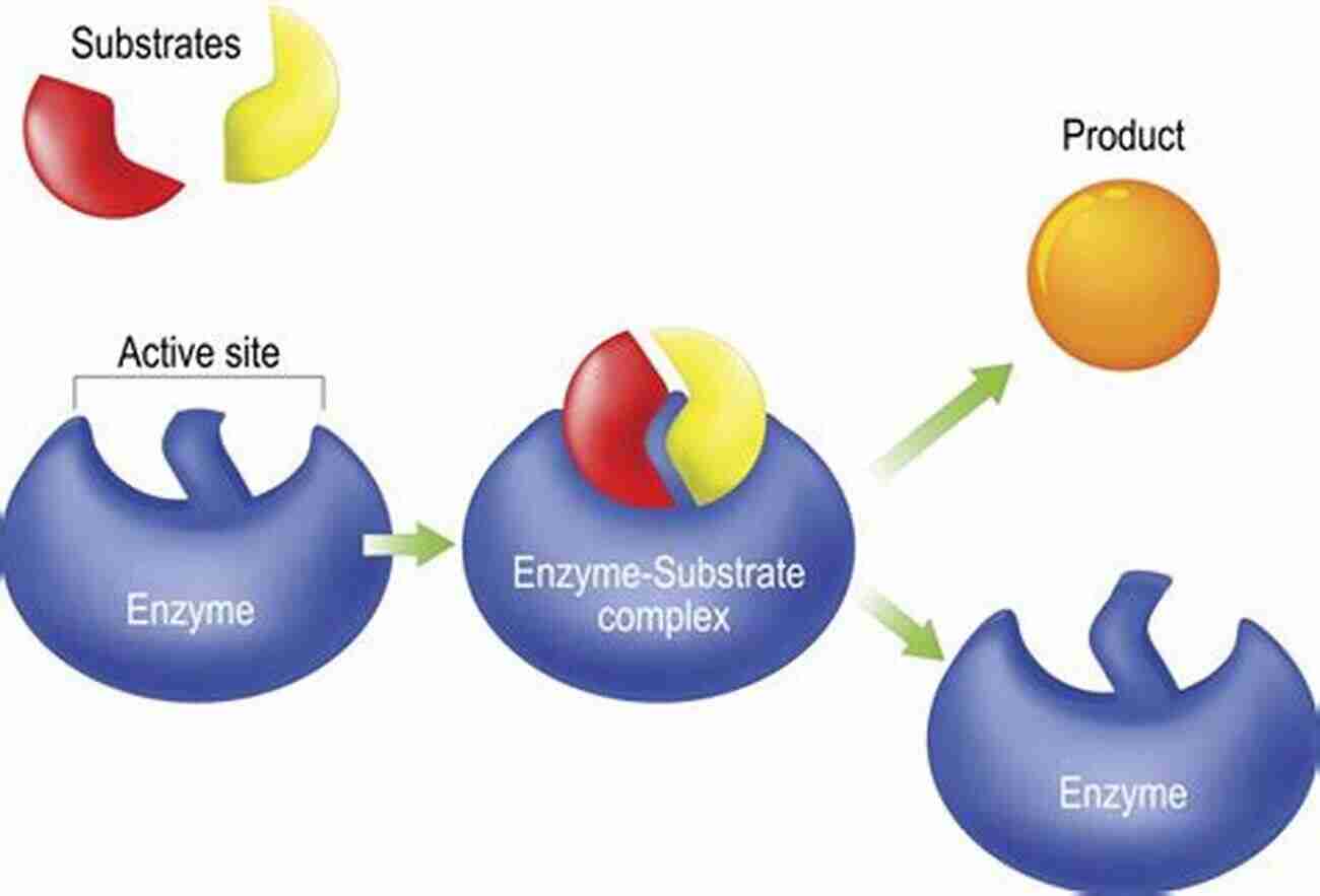 Enzymes And Synthetic Models Illustrating The Connection Between Chemistry, Energy, And The Environment Bioinspired Chemistry: From Enzymes To Synthetic Models (Series On Chemistry Energy And The Environment 5)