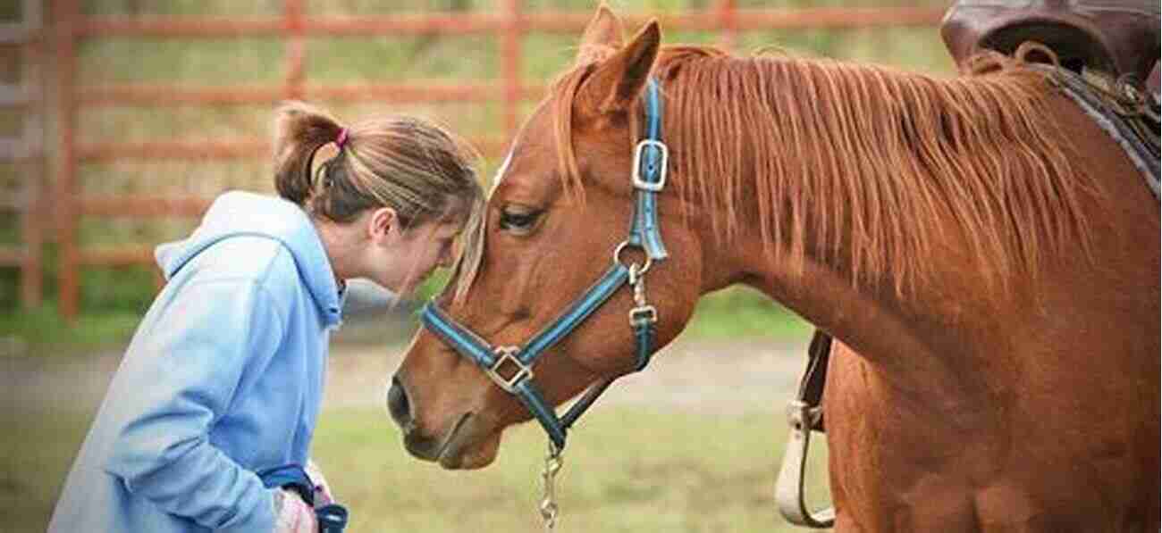 Equine Assisted Therapy At The Horse Farm Fields Of Grace: Sharing Faith From The Horse Farm