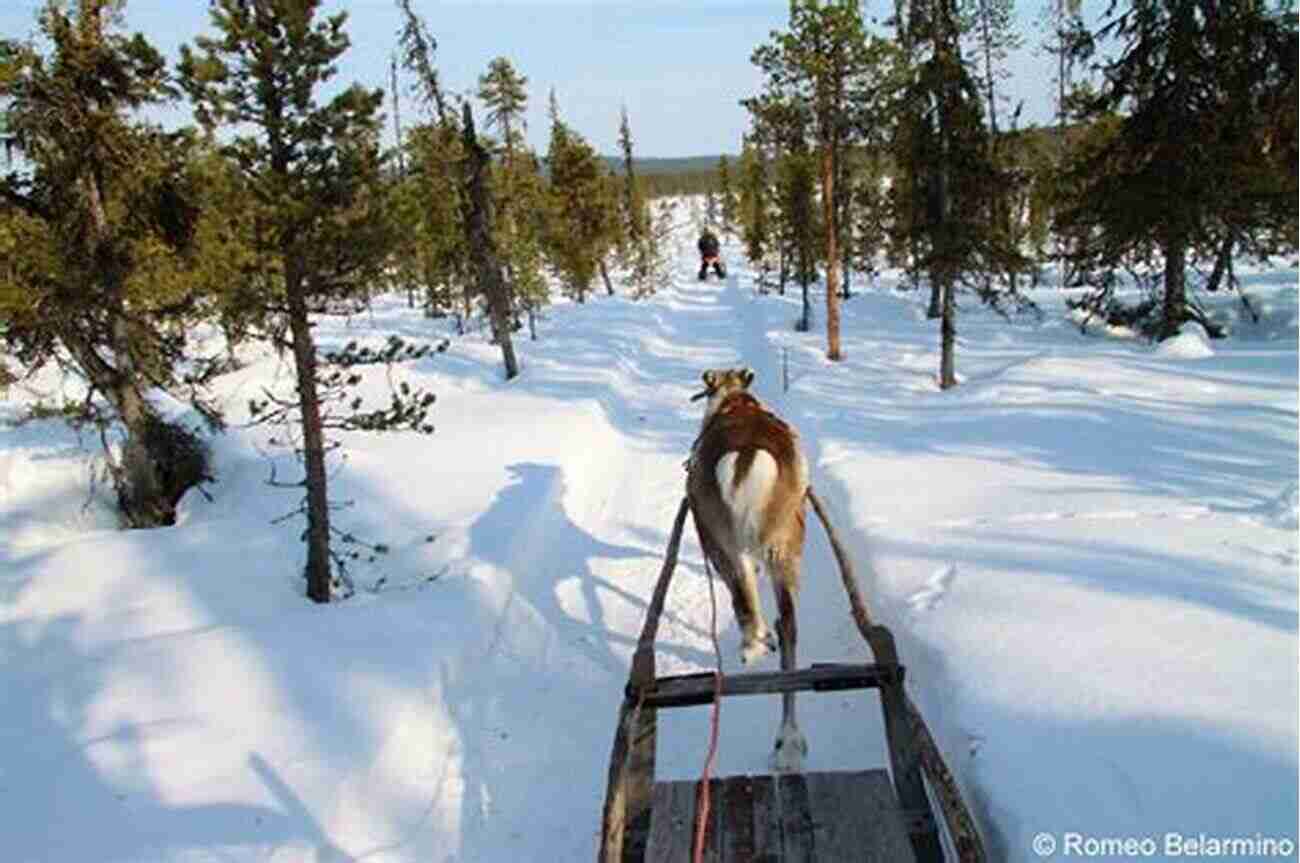 Exciting Winter Activities In Lapland Lapland (Bradt Travel Guides) James Proctor