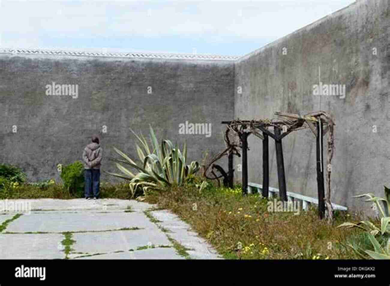 Experience The Natural Beauty Of Mandela Prison Island Robben Island: A Place Of Inspiration: Mandela S Prison Island