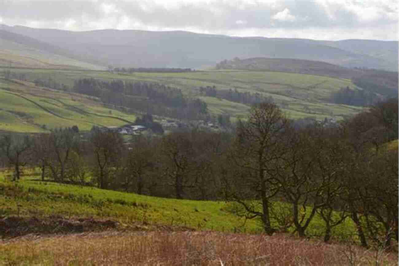 Experience The Peaceful And Idyllic Countryside Of Dumfries And Galloway Dumfries And Galloway (Slow Travel): Local Characterful Guides To Britain S Special Places (Bradt Travel Guides (Slow Travel Series))