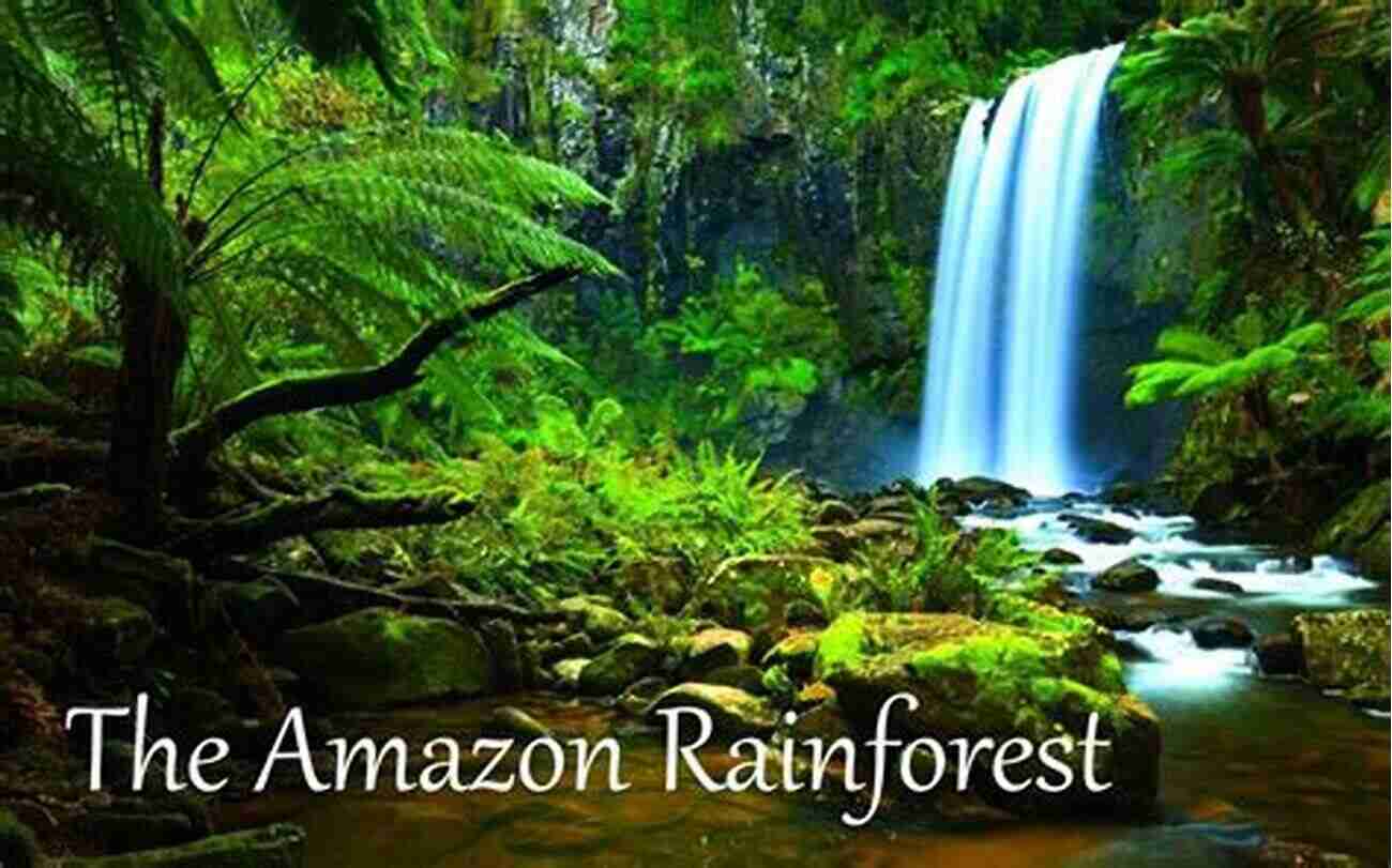 Experiencing The Allure Of The Amazon Rainforest Travel Tips For The Dead (Petroc Corrigan Novels 3)