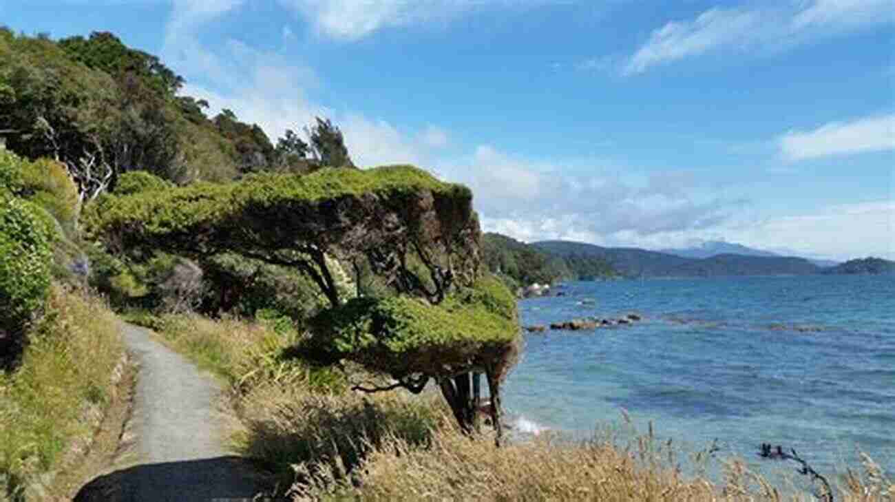 Explore The Stunning Wilderness Of Rakiura And Other Breathtaking Places In New Zealand Lands Of The Glowing Skies: Rakiura And Other Places A Journal Of New Zealand