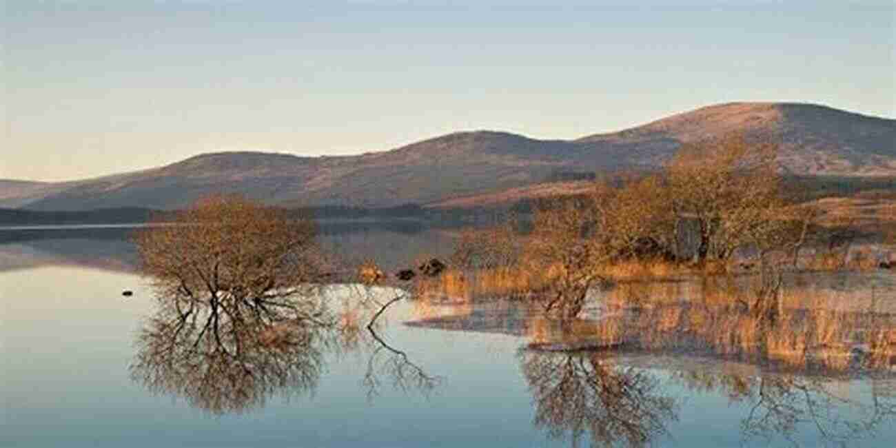 Explore The Idyllic Countryside Of Dumfries And Galloway On A Slow Travel Adventure Dumfries And Galloway (Slow Travel): Local Characterful Guides To Britain S Special Places (Bradt Travel Guides (Slow Travel Series))