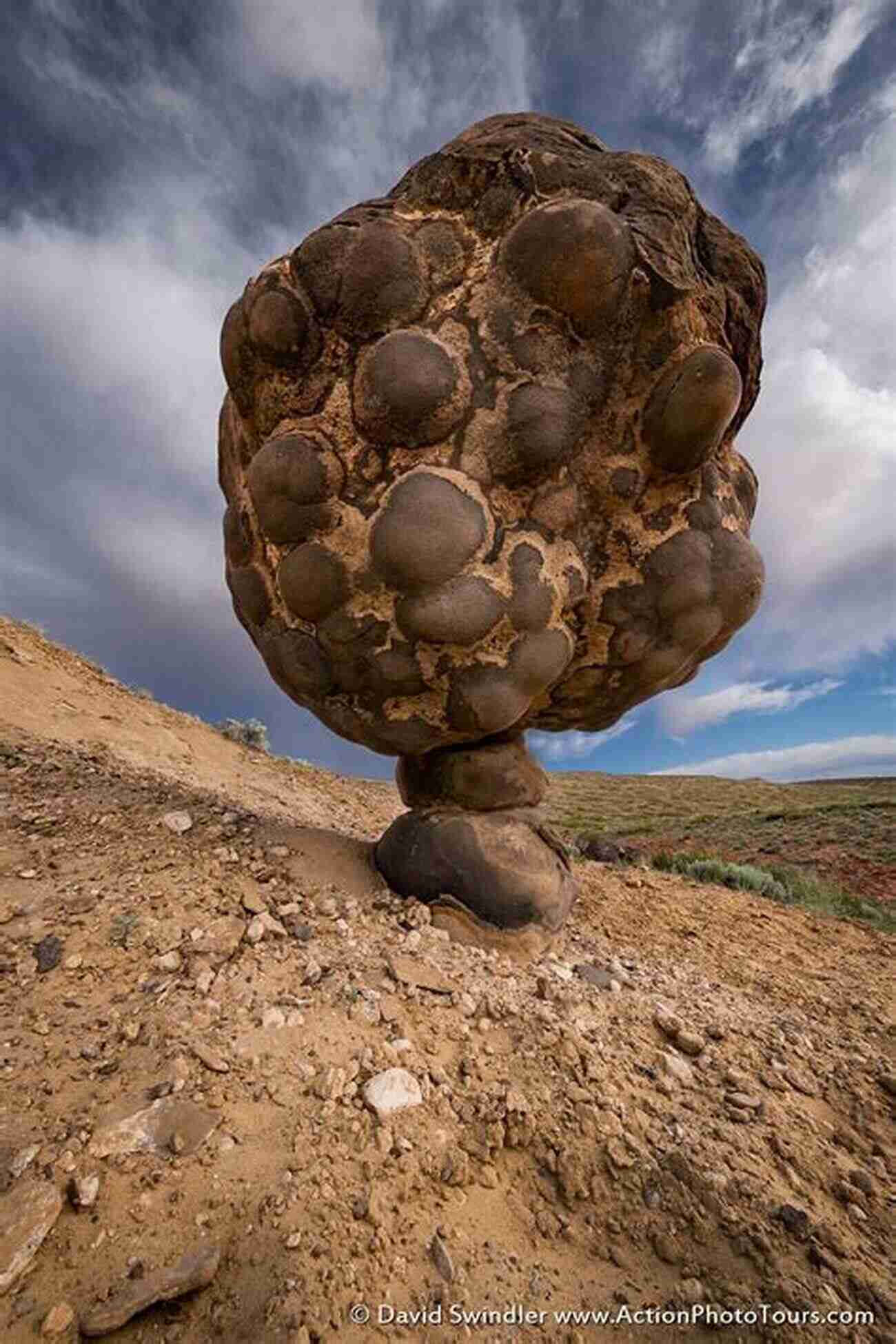 Explore The Magnificent Wildlife, Fascinating Rocks, And Beautiful Flora In This Ultimate Guide To The Wonders Of Nature. Scenic Science Of The National Parks: An Explorer S Guide To Wildlife Geology And Botany