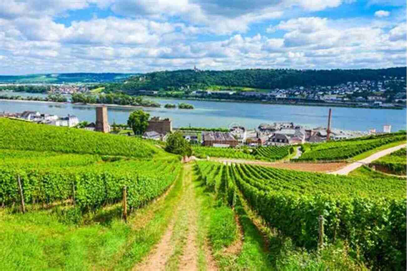 Explore The Picturesque Vineyards In The Rhine Valley Frommer S Germany (Complete Guide) Andrea Schulte Peevers