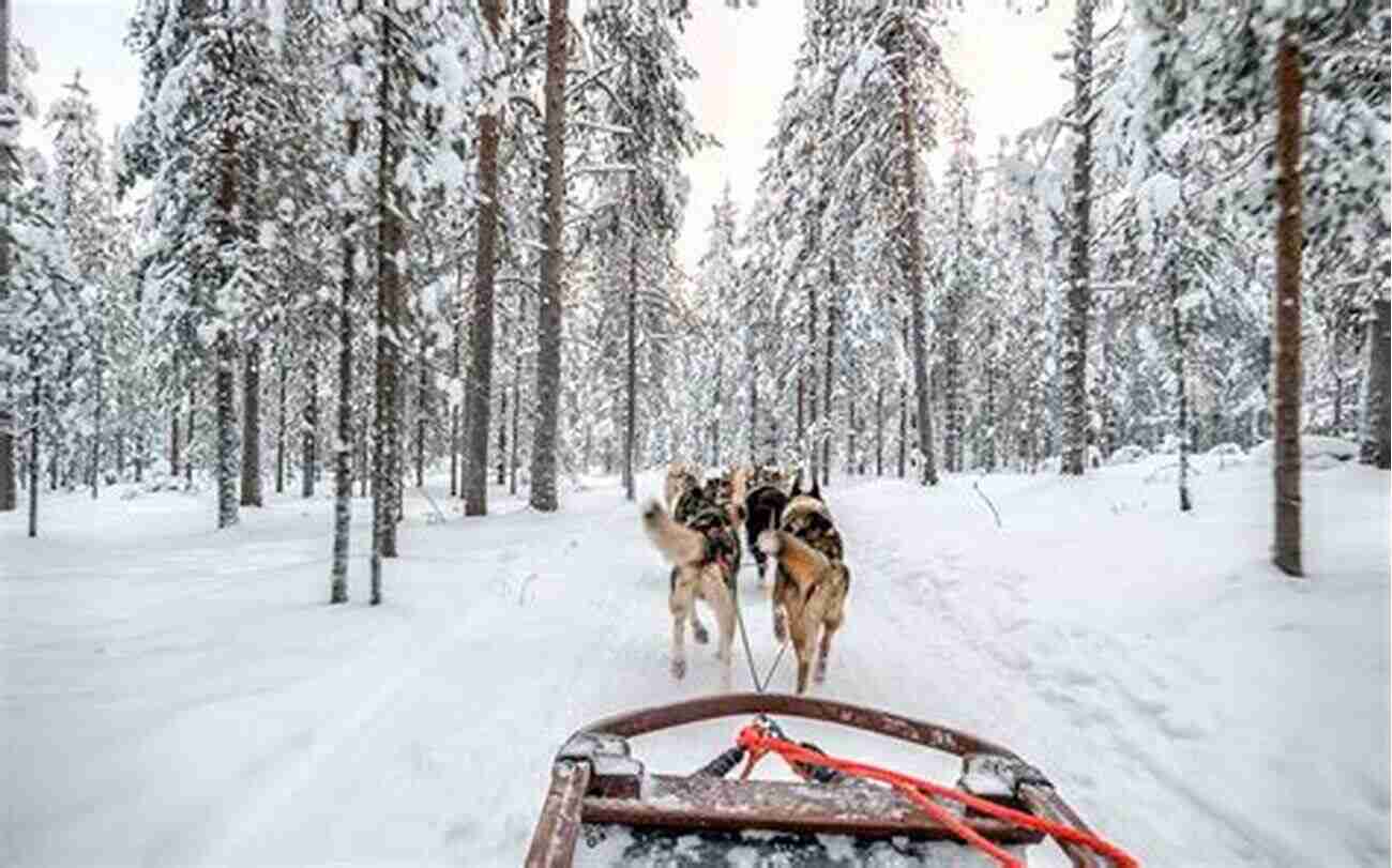 Exploring The Magical Winter Wonderland Of Lapland Lapland (Bradt Travel Guides) James Proctor