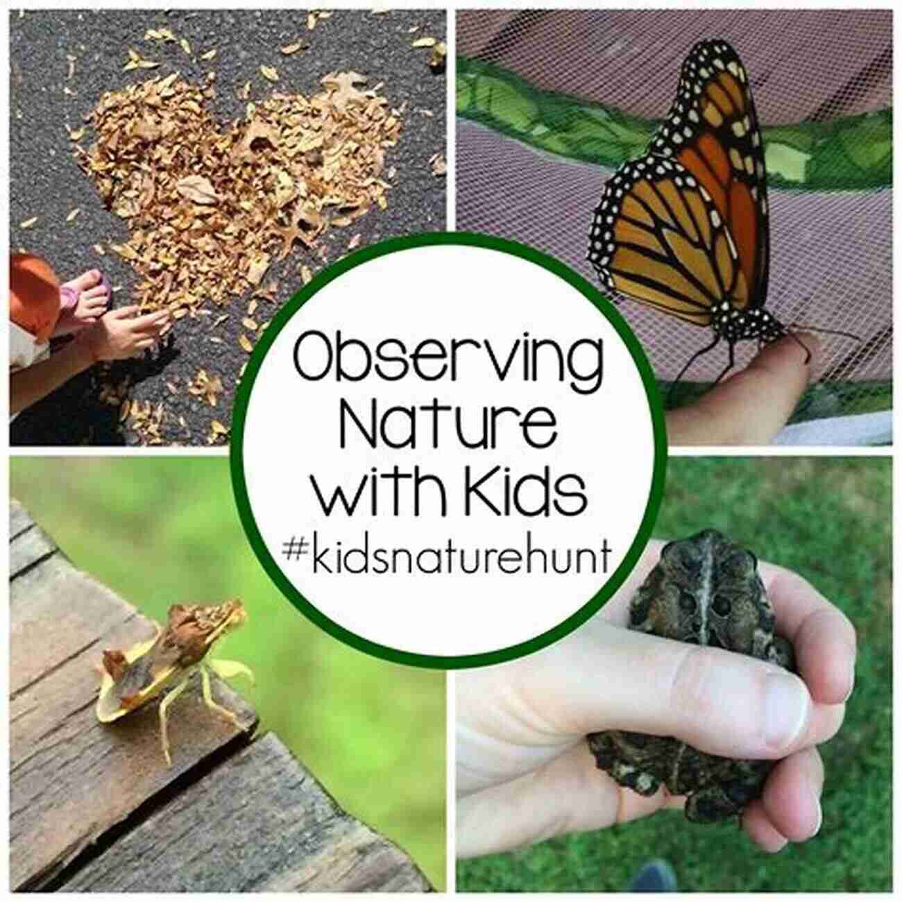 Family Exploring Nature, Kids Observing Plants And Wildlife. Summertime Survival Guide For Parents: How To Create A Summer Of Wonder Discovery And Fun (The Homeschooling Life 3)