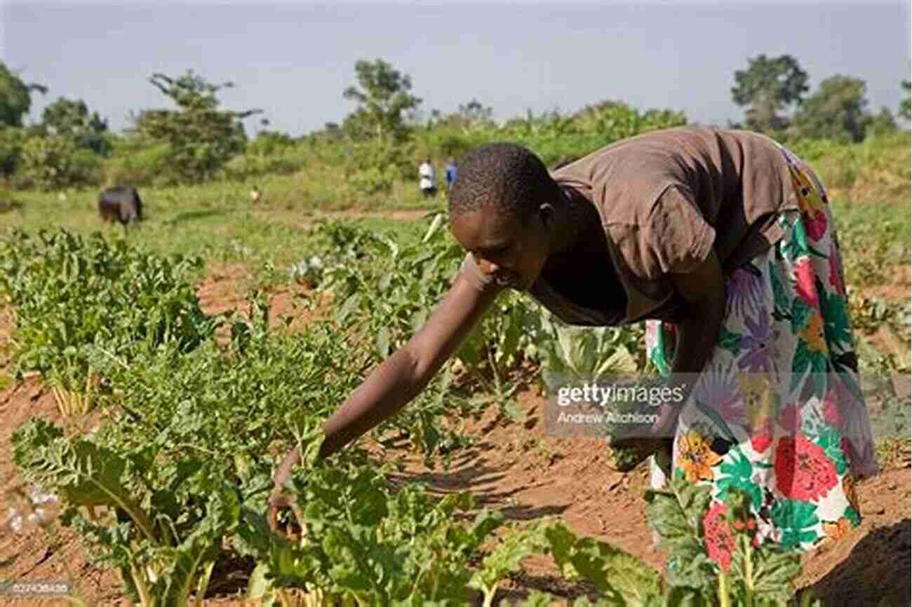 Female Farmer Tending To Crops The Woman Hobby Farmer: Female Guidance For Growing Food Raising Livestock And Building A Farm Based Business