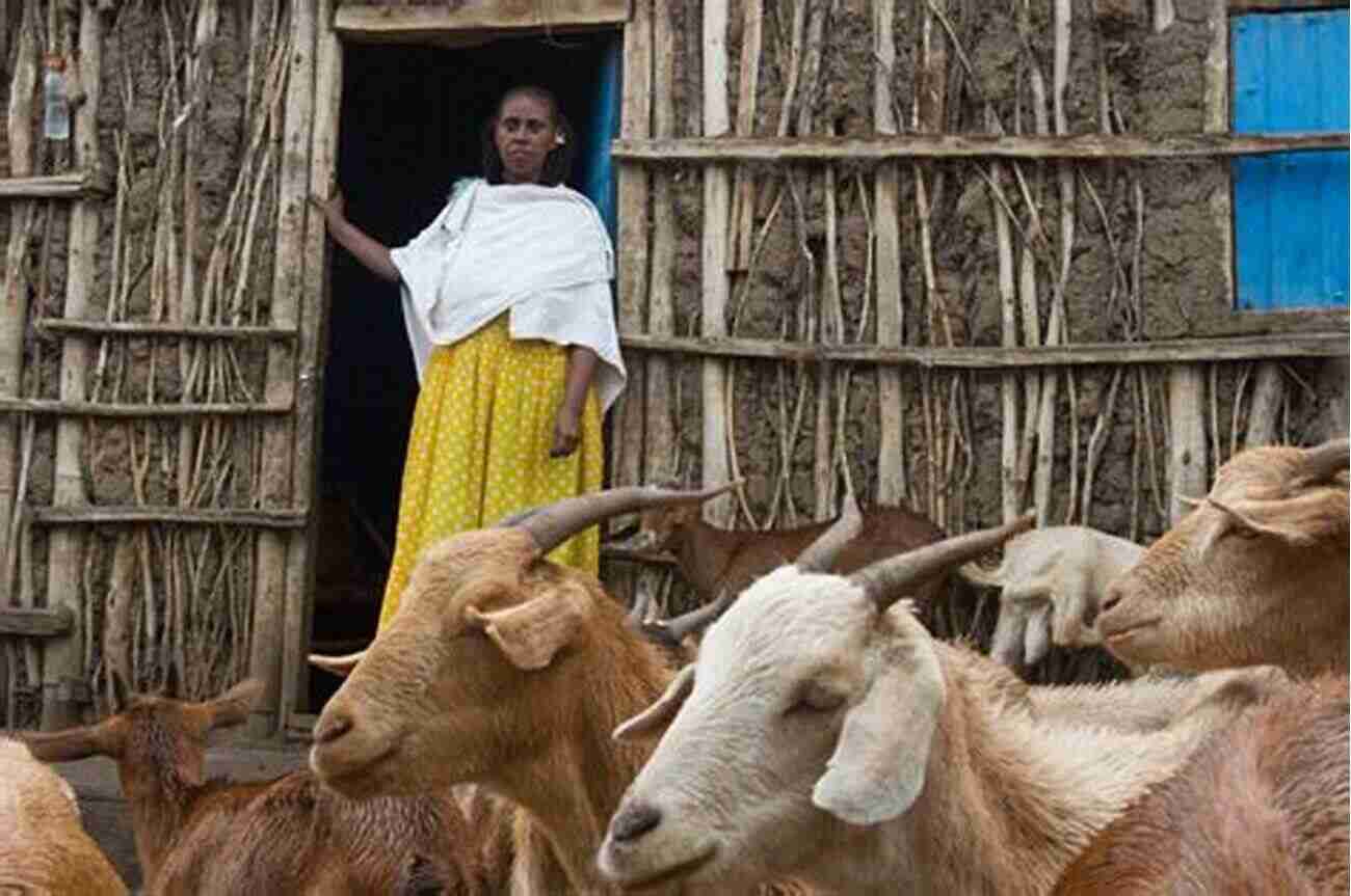 Female Farmer With Her Livestock The Woman Hobby Farmer: Female Guidance For Growing Food Raising Livestock And Building A Farm Based Business