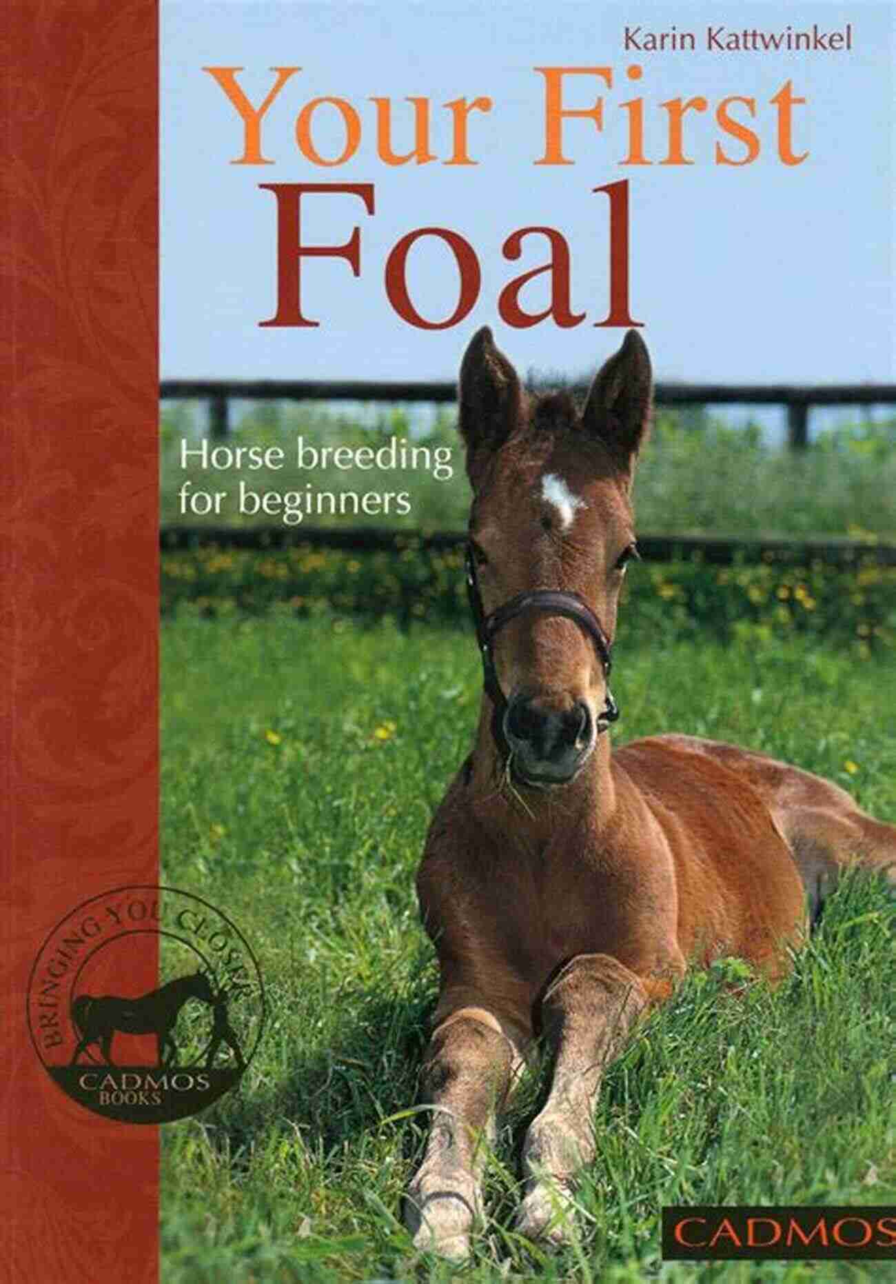 Foal Breeding For Beginners A Comprehensive Guide Foal Breeding For Beginners: A Step By Step Guide For The First Time Horse Breeder