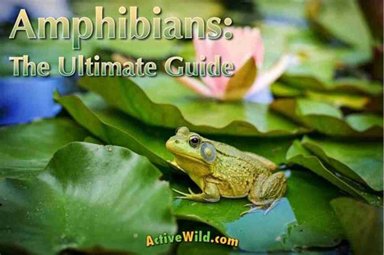 Frogology: The Ultimate Guide To Amphibians And Their Behavior Gribbit Fun Facts About Frogs Of The World: Frogs For Kids Herpetology (Children S Zoology Books)