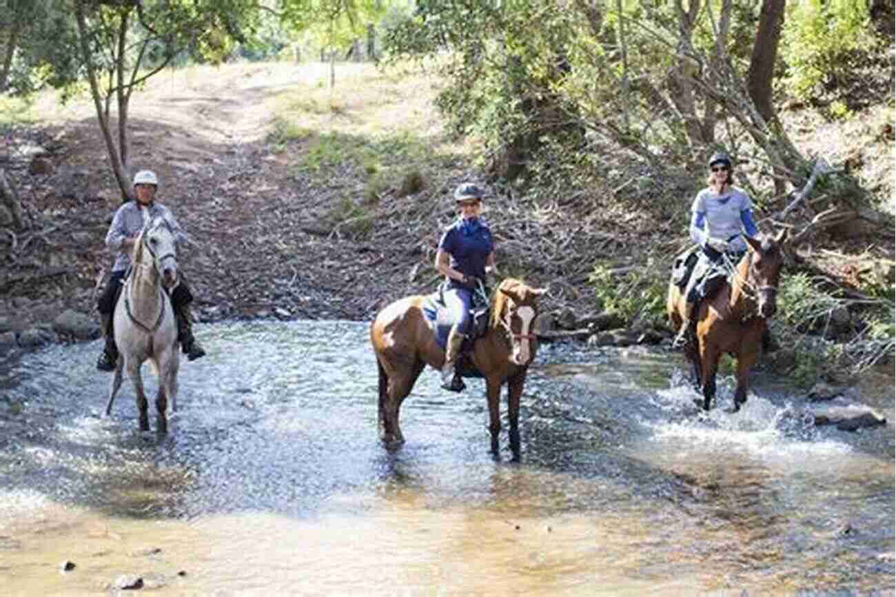 Group Of Friends Riding Horses In Australia Equestrian Adventuresses 1: Saddles And Sisterhood: True Stories Of Friendships Built On Horse Riding Adventures Around The World (Horse For Adults)