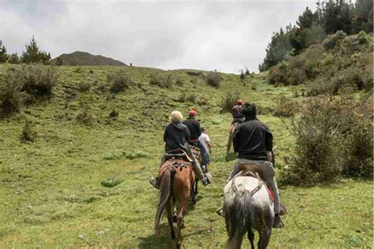 Group Of Friends Riding Horses In The Andes Equestrian Adventuresses 1: Saddles And Sisterhood: True Stories Of Friendships Built On Horse Riding Adventures Around The World (Horse For Adults)