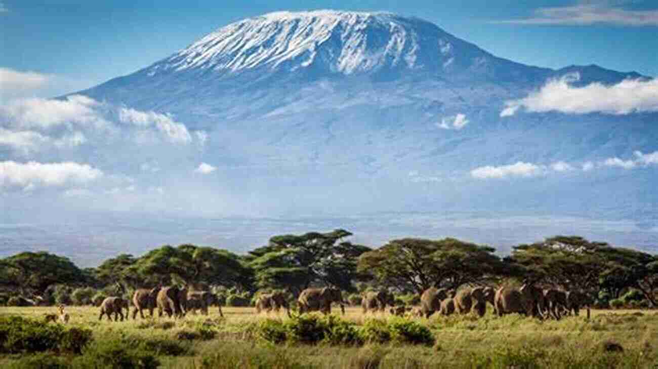 Hiking Mount Kilimanjaro In Tanzania, Africa The 10 Best Hikes In Yellowstone National Park: The Greatest Hikes On Earth