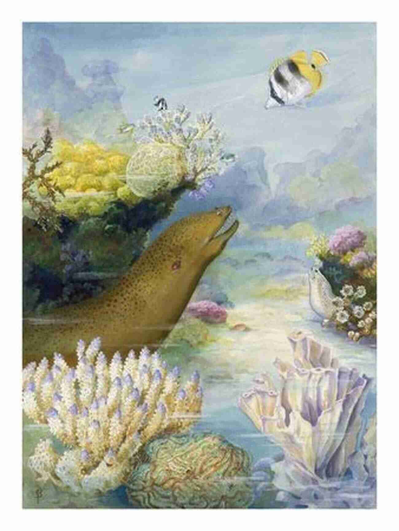 Illustration Of A Moray Eel Lurking In A Coral Crevice Coral Reef Animals For Kids: Habitat Facts Photos And Fun Children S Oceanography Edition