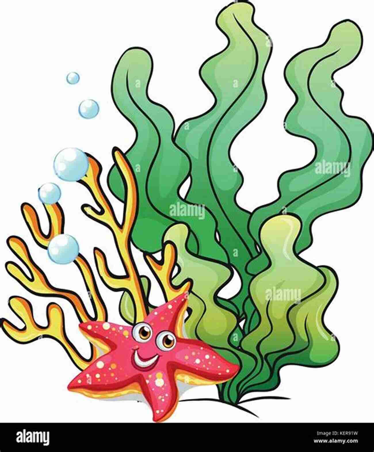 Illustration Of A Starfish On A Coral Reef Coral Reef Animals For Kids: Habitat Facts Photos And Fun Children S Oceanography Edition