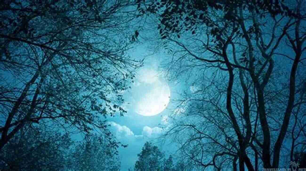 In The Forests Of The Night An Image Portraying The Ethereal Beauty Of A Moonlit Forest Covered In Mist. In The Forests Of The Night: Journeys Into The Heart Of Pakistan (In The Forest Of The Night 1)