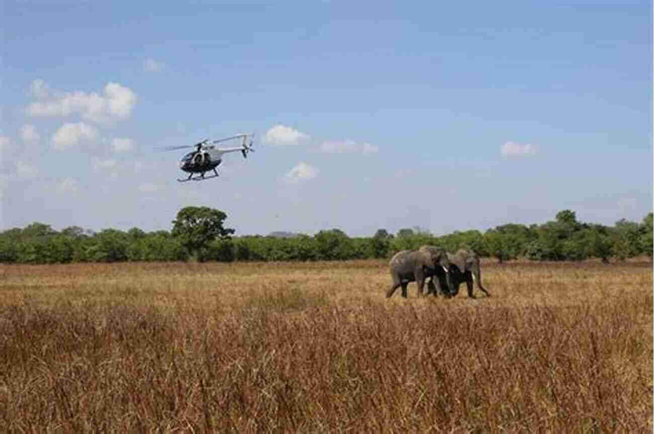 Liwonde National Park An Elephant Family Roaming Freely In The Vast Grasslands Malawi Travel Guide: With 100 Landscape Photos