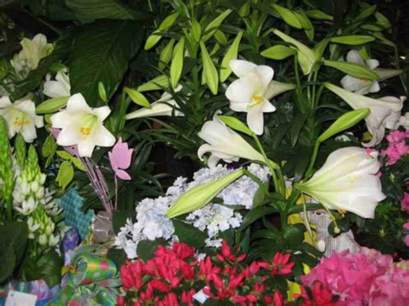 Majestic Lilies Symbols Of Purity And Beauty, Exuding Grace, Elegance, And A Heavenly Fragrance VONFLORA SuperFlowers: Best 100 Flowers Of Volume 3