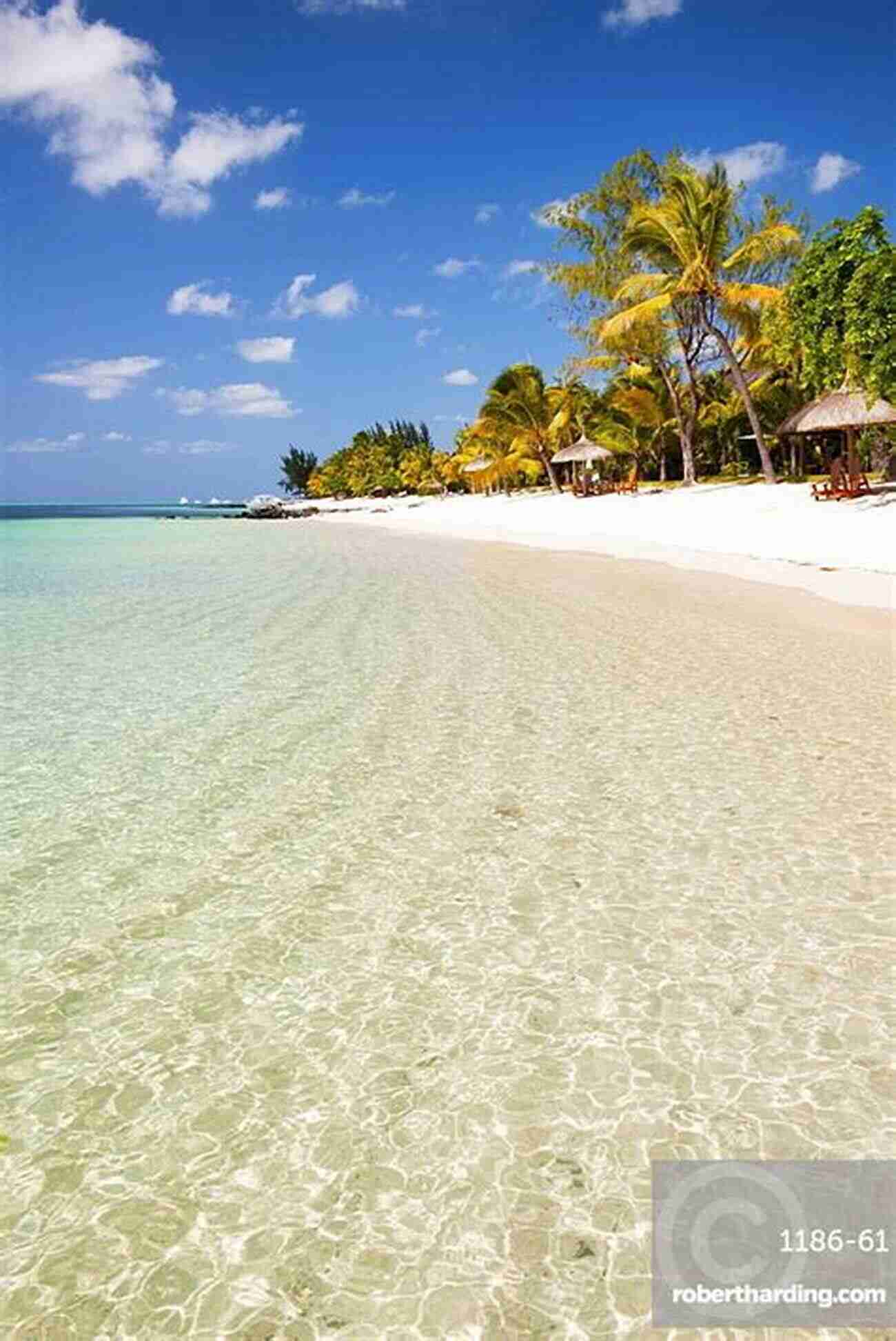 Mauritius' Turquoise Waters And Palm Fringed Beaches My Mauritius Paolo Rossetti