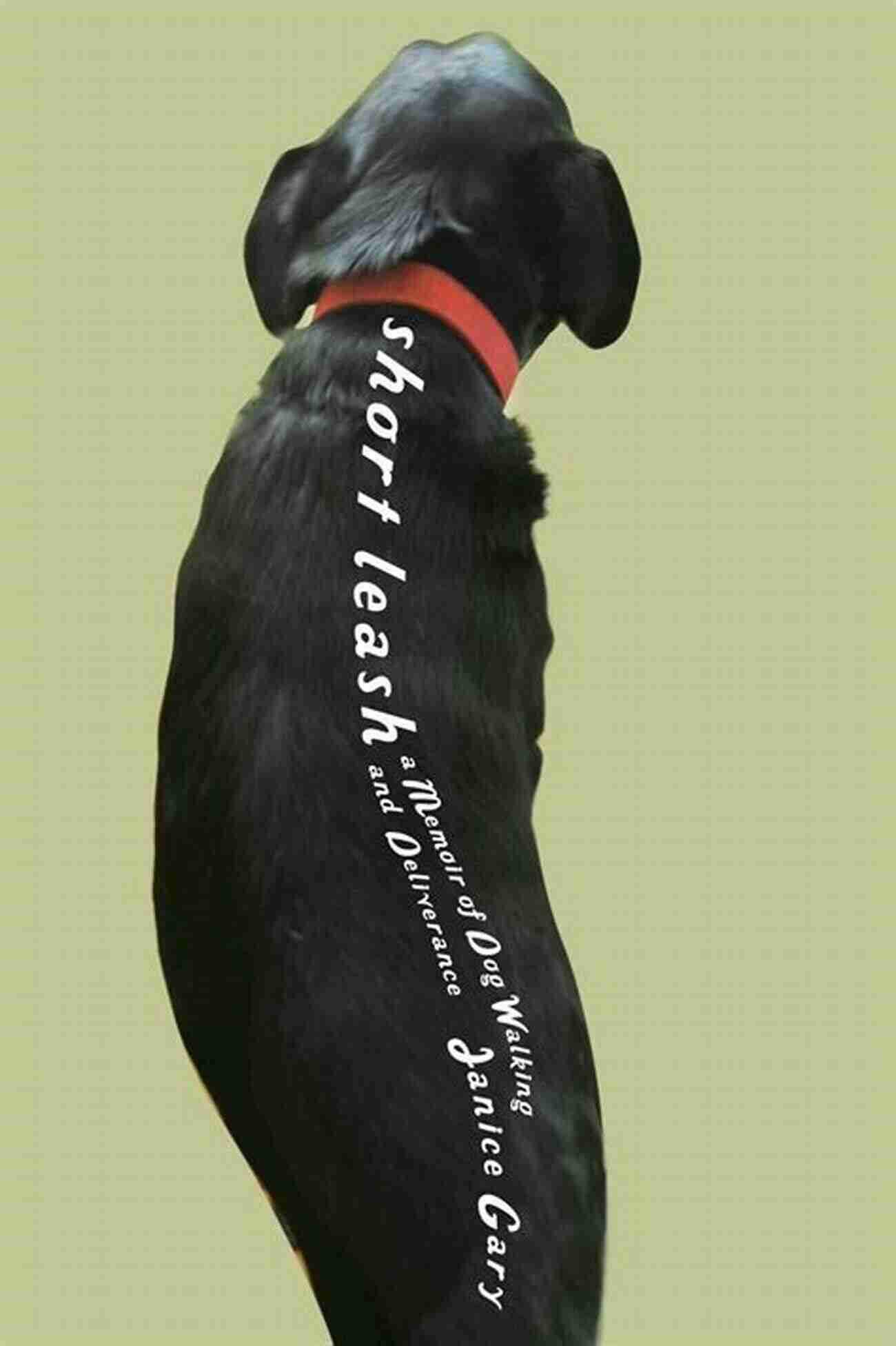 Memoir Of Dog Walking And Deliverance A Tale Of A New Beginning Short Leash: A Memoir Of Dog Walking And Deliverance