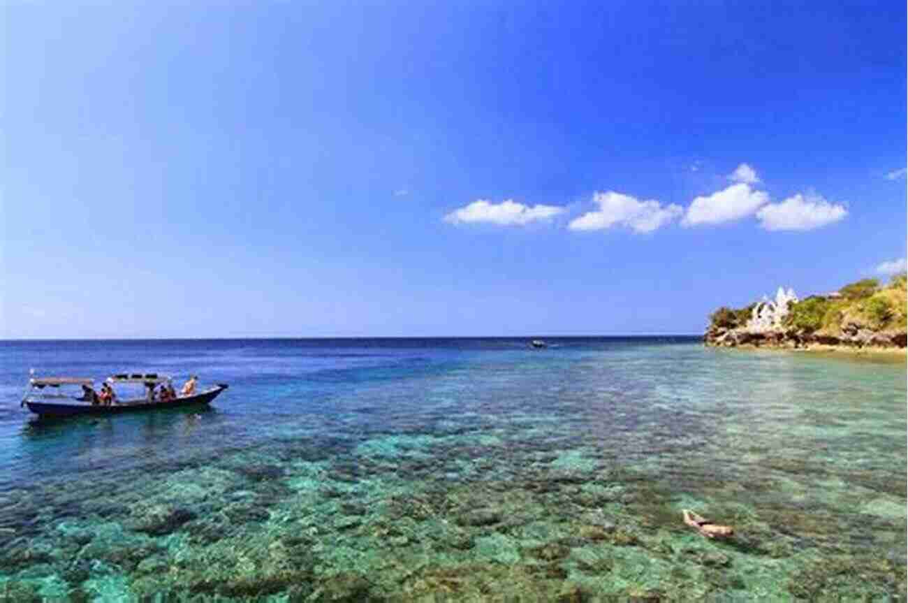 Menjangan Island A Hidden Paradise For Nature Lovers Bali Daze Freefall Off The Tourist Trail