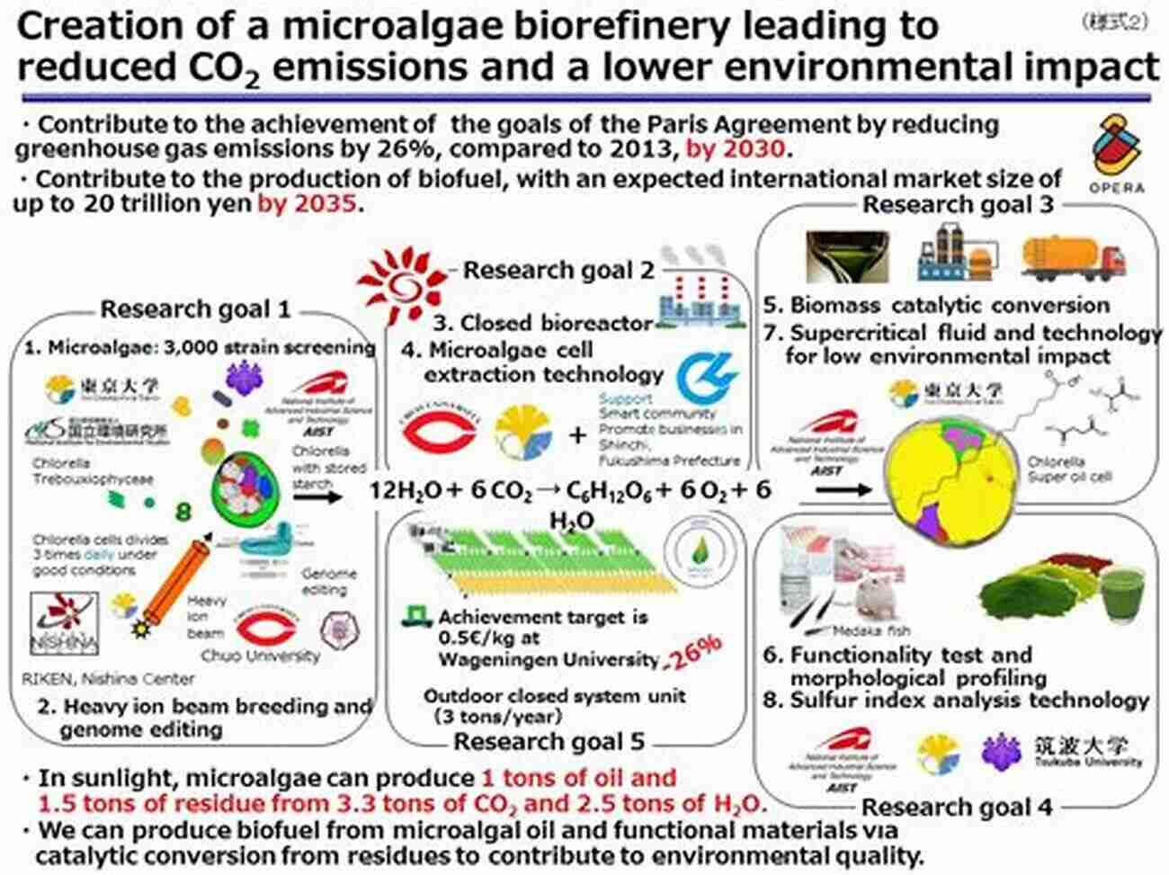 Micro Algae And Sustainability Spirulina World Food: How This Micro Algae Can Transform Your Health And Our Planet