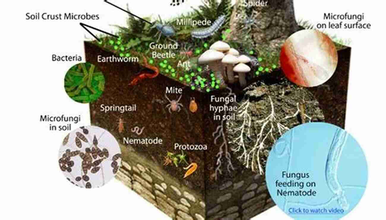 Microbes' Role In Soil Health Use Of Microbes For The Alleviation Of Soil Stresses Volume 1