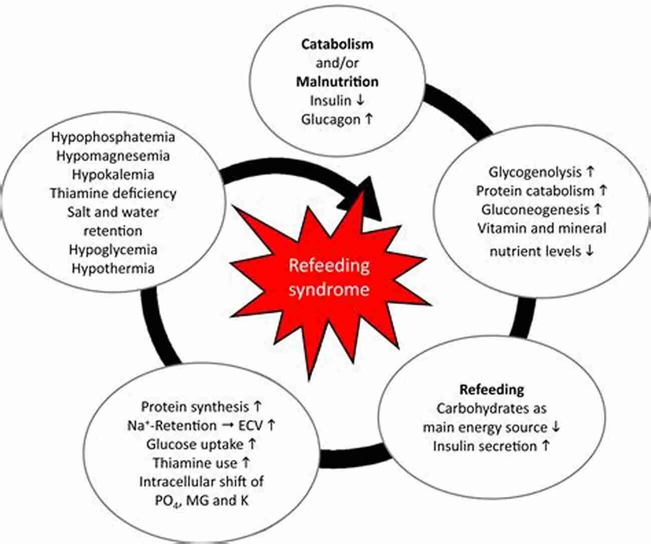 Nursing Anorexia Nervosa Inpatients: Supporting Recovery Nursing Inpatients With Anorexia Nervosa