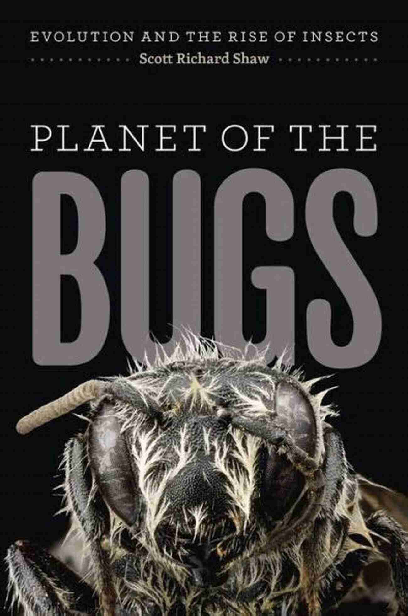 Planet Of Bugs Planet Of The Bugs: Evolution And The Rise Of Insects