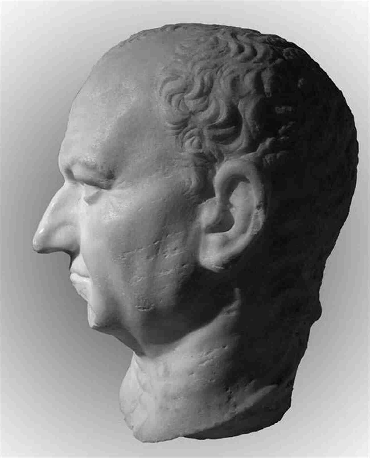 Portrait Of Vespasian, The Fourth And Final Emperor During The Year Of The Four Emperors Year Of The Four Emperors (Roman Imperial Biographies)