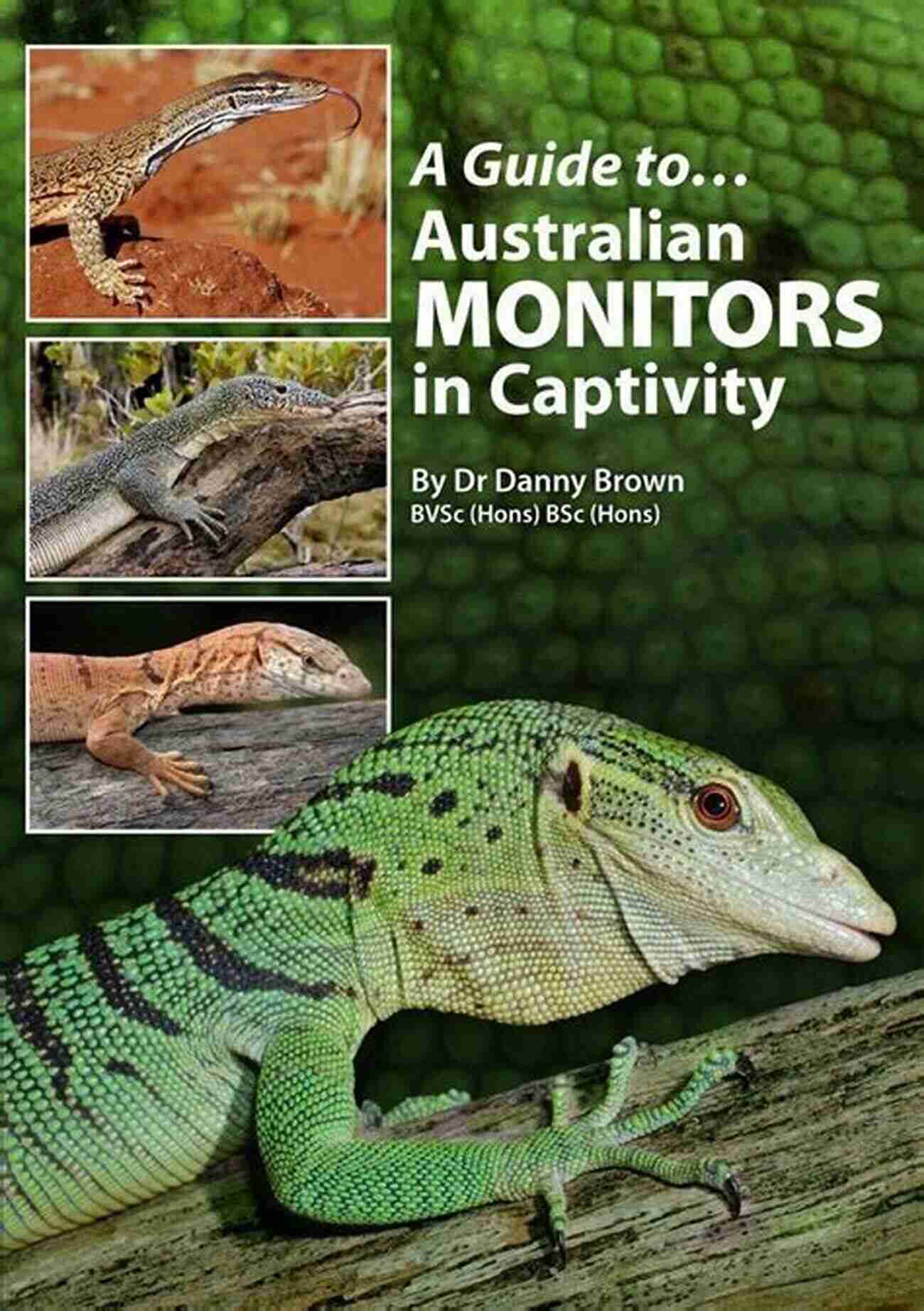 Proper Handling Techniques A Guide To Australian Monitors In Captivity