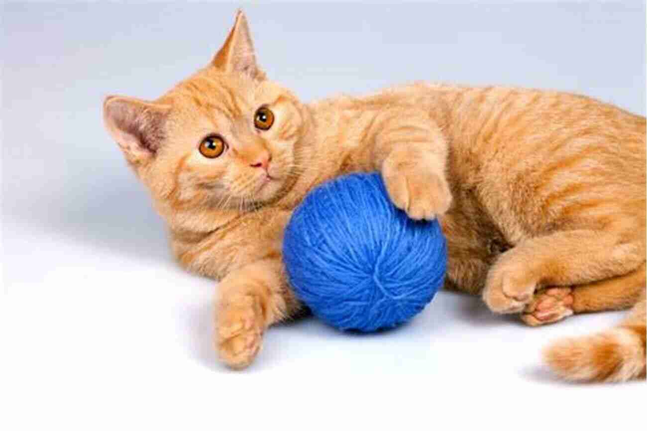 Realty About Cats: Amazing Facts About Cats Cat Playing With A Ball Of Yarn Realty About Cats : Amazing Facts About Cats