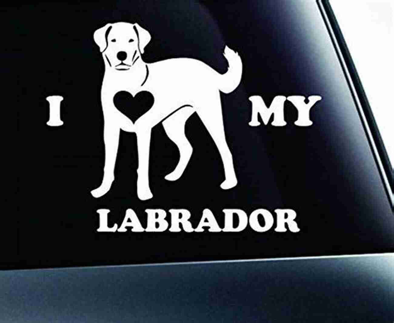 Rescue Labrador Retriever A Symbol Of Resilience And Love My Angels Wear Fur: Animals I Rescued And Their Stories Of Unconditional Love