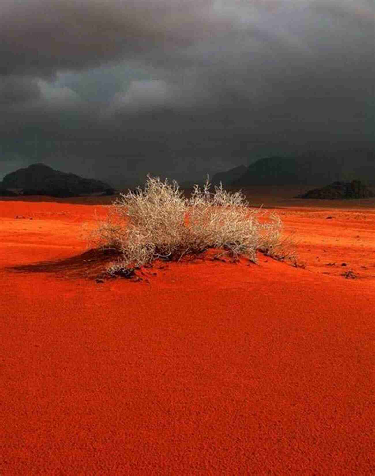 Rocks And Sands Egypt Discover The Mesmerizing Beauty Of The Desert Rocks And Sands Egypt