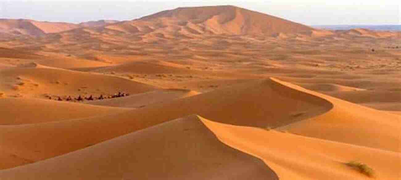 Sahara Desert Most Dangerous Deserts In The World Deserts Of The World For Kids Children S Explore The World