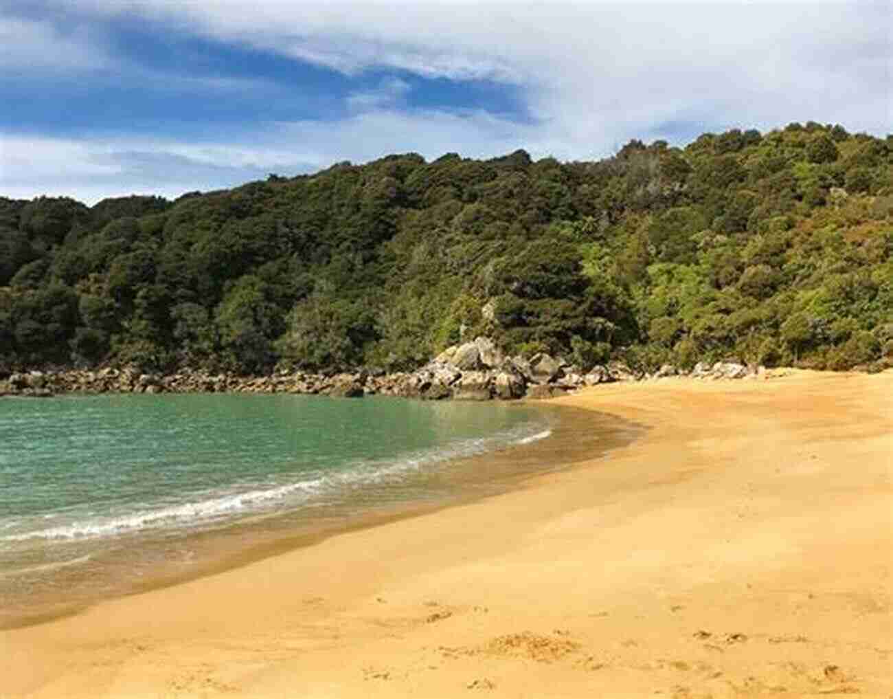 Sandy Beaches Of Abel Tasman National Park New Zealand From Fiordland To Bay Of Islands: Travel Stories From New Zealand