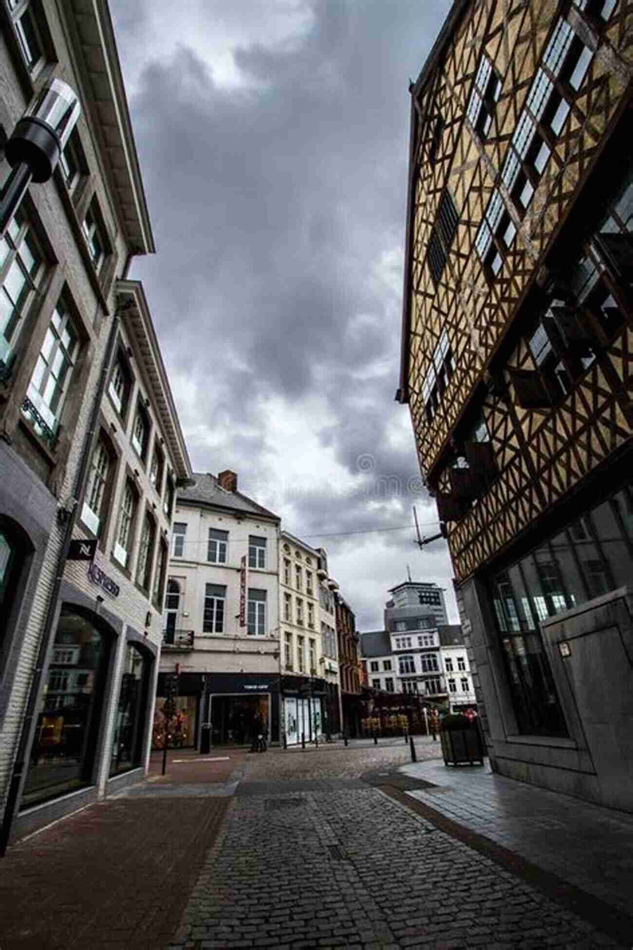 Sarwan Exploring The Beautiful Streets Of Belgium Sarwan Explores Belgium (Volume 1) Char Miller