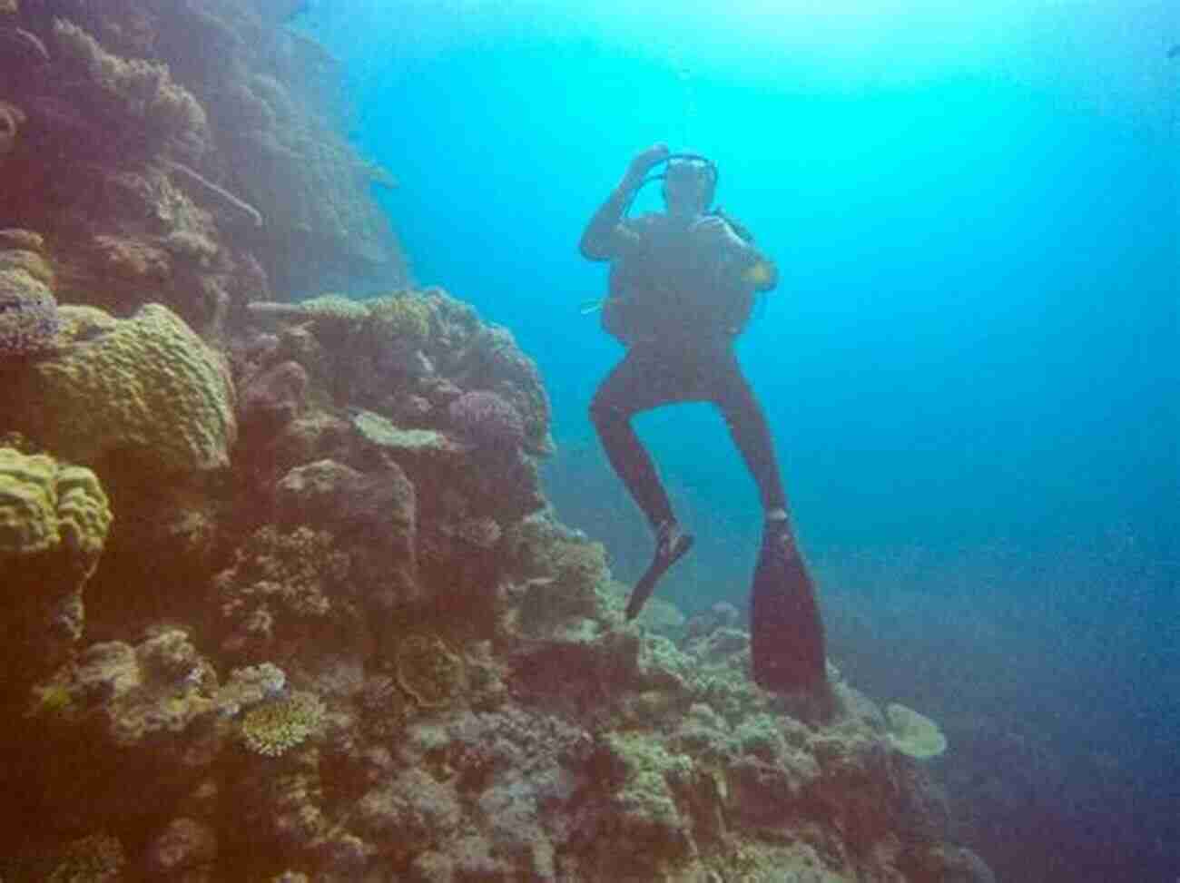 Scuba Instructor Exploring Vibrant Coral Reefs In Crystal Clear Waters Three Girls In Bikinis Changed My Life: Adventures Of A Scuba Instructor