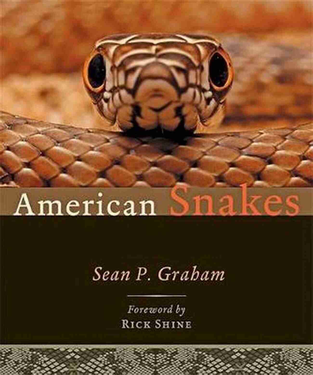 Sean Graham American Snakes American Snakes Sean P Graham