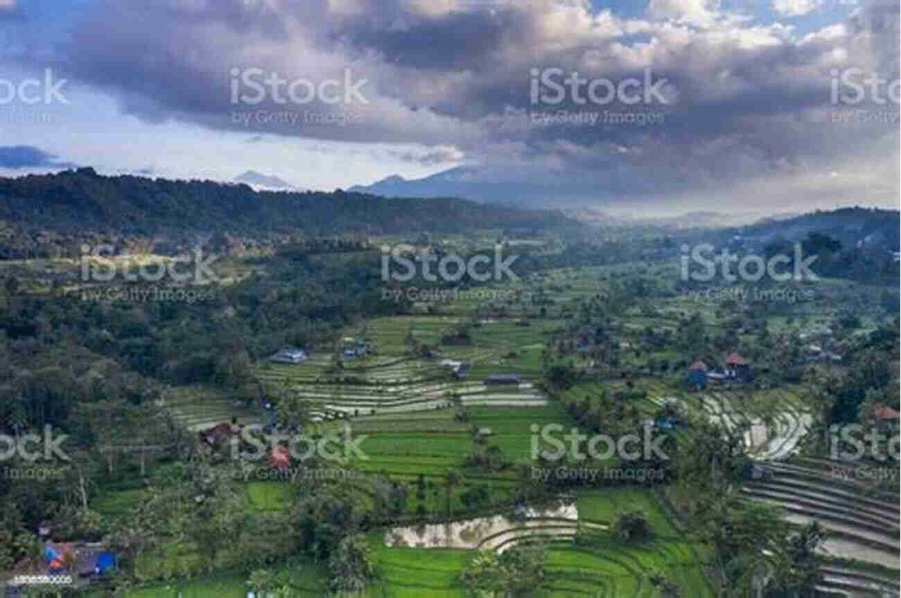 Sidemen Rice Fields A Peaceful Countryside Escape Bali Daze Freefall Off The Tourist Trail