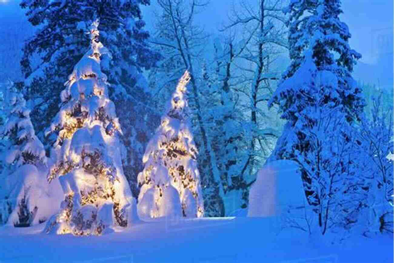 Snow Covered Forest At Twilight, Showcasing The Enchantment Of Winter The Nature Of Winter Jim Crumley