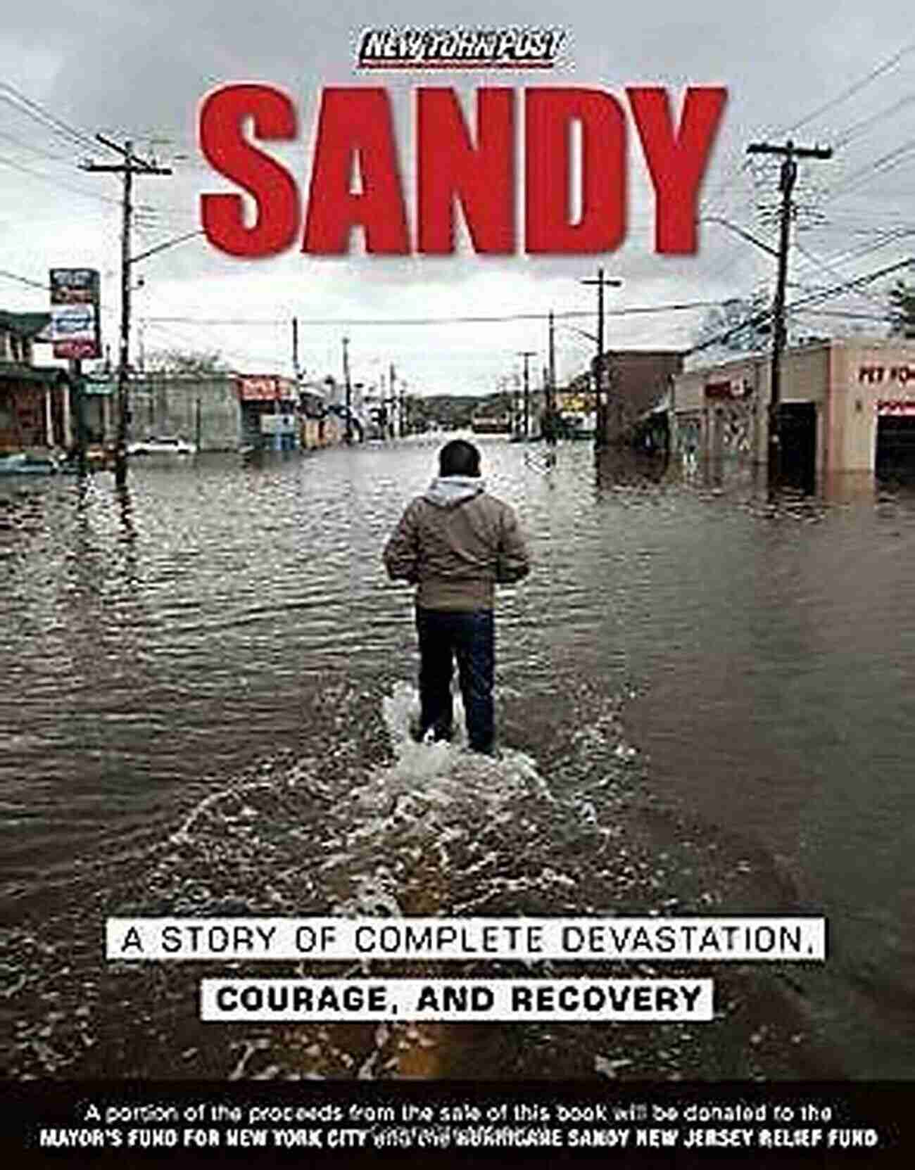 Story Of Complete Devastation Courage And Recovery A Tale Of Hope And Resilience Sandy: A Story Of Complete Devastation Courage And Recovery