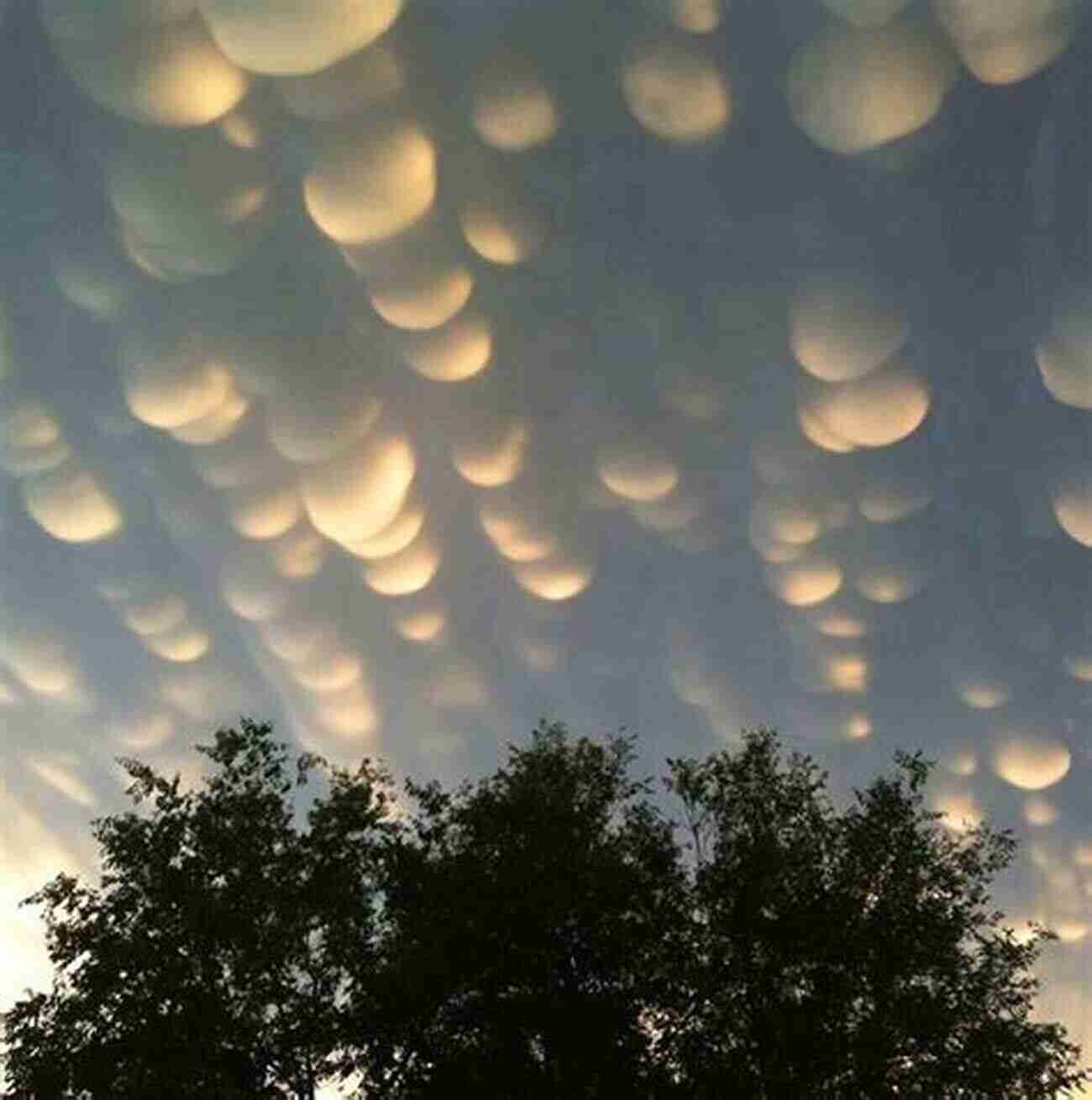 Stratocumulus Clouds Rows Of Cotton Ball Formations Extending Across The Sky Cloud And Skyscapes: Images Of Clouds And The Sky