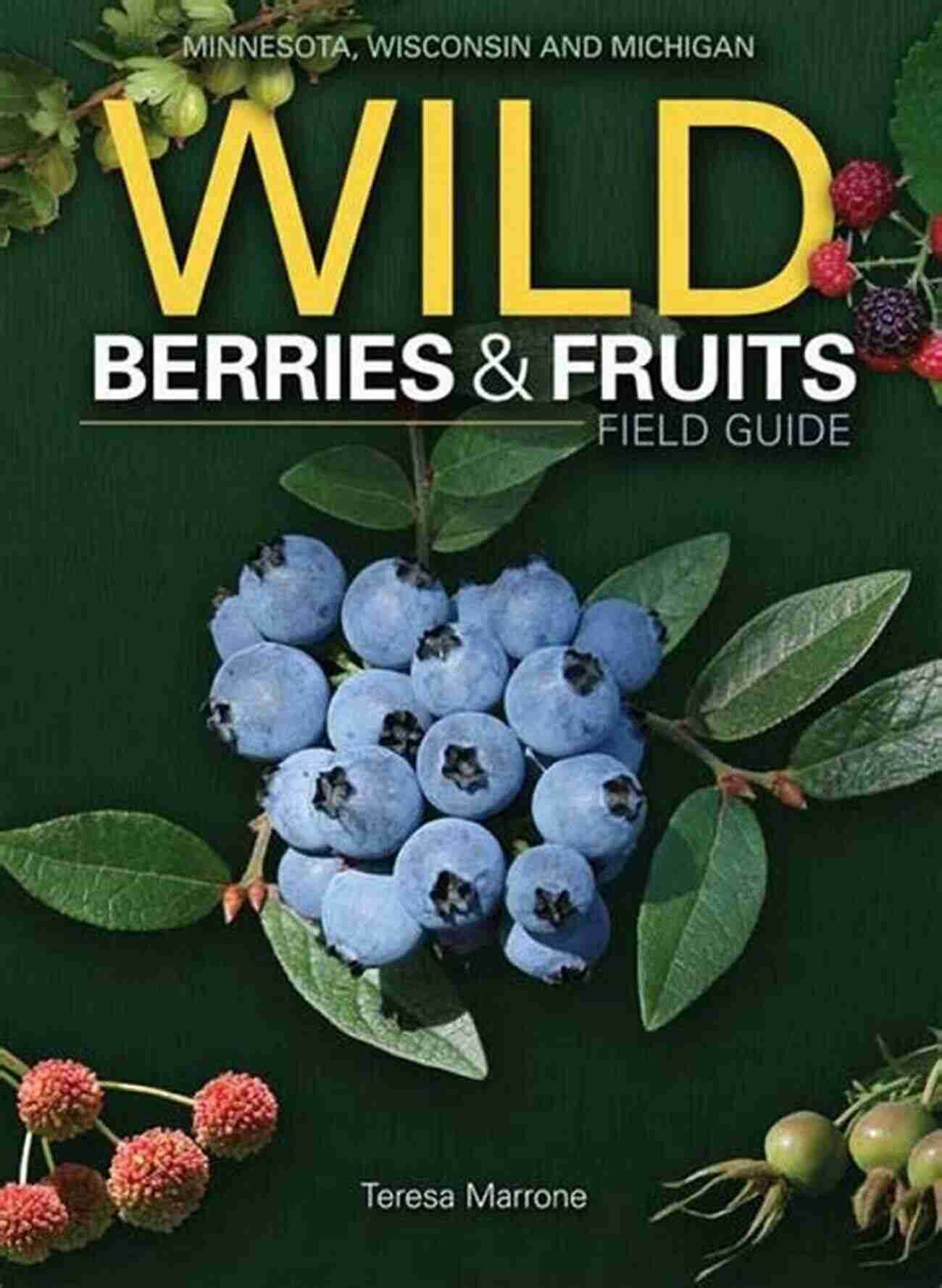 Strawberries In Michigan Wild Berries Fruits Field Guide Of Minnesota Wisconsin Michigan (Wild Berries Fruits Identification Guides)