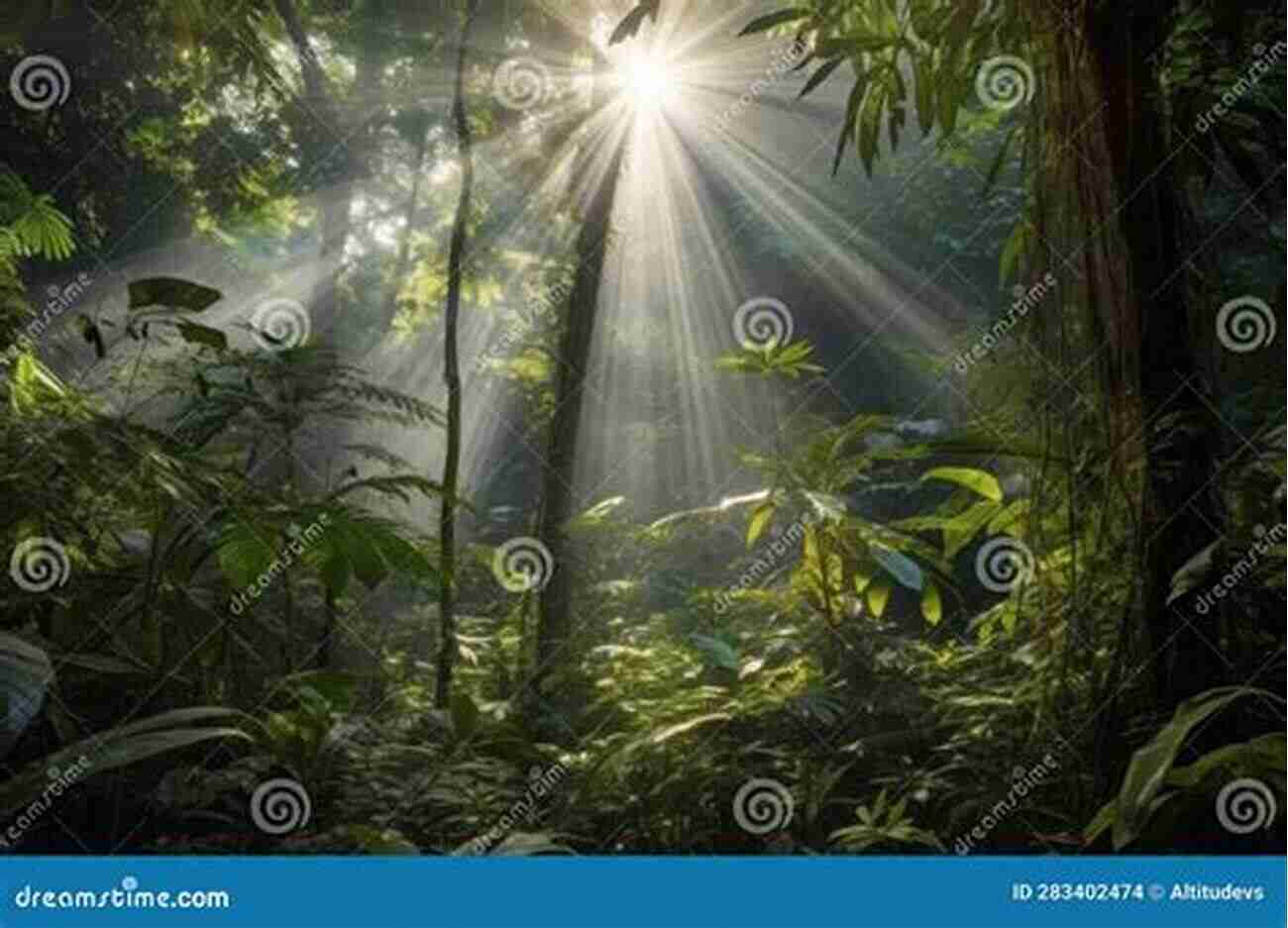 Sun Rays Piercing Through Dense Rainforest, Illuminating Lush Green Foliage And Diverse Wildlife Mother Earth S Beauty: Types Of Air Around Us (For Early Learners): Nature For Kids Earth Sciences (Children S Weather Books)