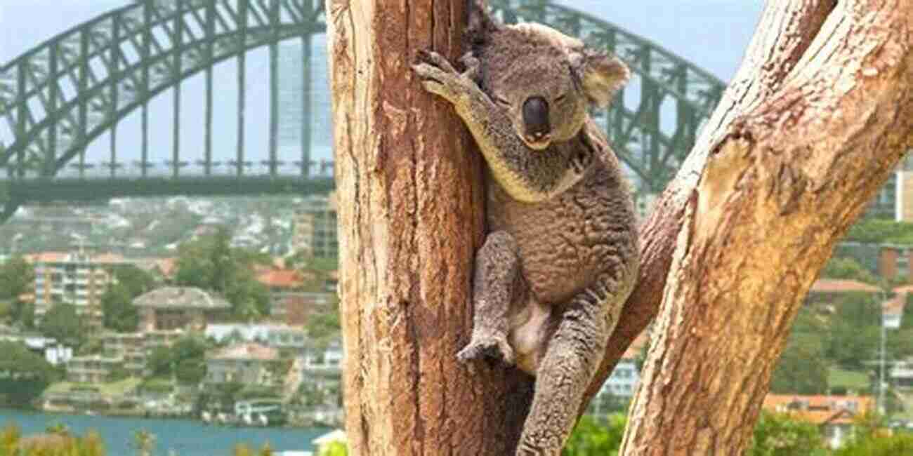 Taronga Zoo Living Guide For Sydney: All The Information You Need To Know About Living In And Moving To Sydney