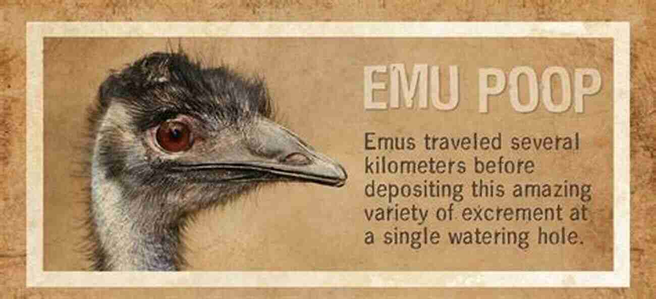 The Comprehensive Emu Care Guide Everything You Need To Know To Keep Your Emus Happy And Healthy EMU AS PET : The Comprehensive Pet Owner S Manual On Emu Care Feeding Diet Housing Health Care And More